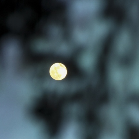 Πανσέληνος Αυγούστου 2023 - Μπλε Φεγγάρι