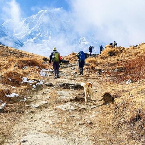 Περπάτημα: Τα σπουδαία οφέλη για την υγεία - Μεγάλη παγκόσμια έρευνα - Ο «μαγικός αριθμός» ημερήσιων βημάτων που μειώνει τους κινδύνους καρδιαγγειακών παθήσεων.