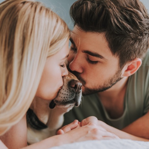 ΔΥΠΑ: Συνολικά 23.393 προεγκρίσεις και 7.976 εγκρίσεις για στεγαστικά δάνεια νέων, μέσω του προγράμματος «Σπίτι μου» - Καλύφθηκε ήδη το 85% του προγράμματος.