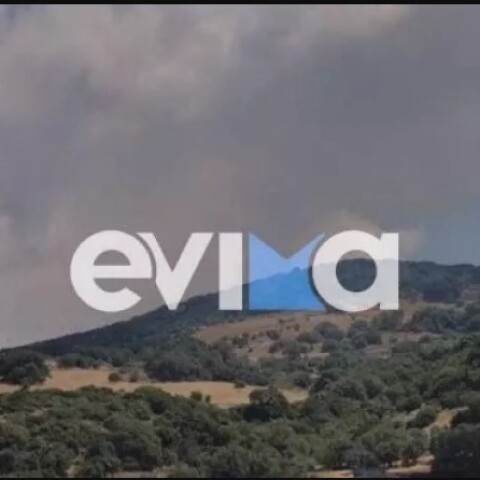 Φωτιά τώρα στην Κάρυστο