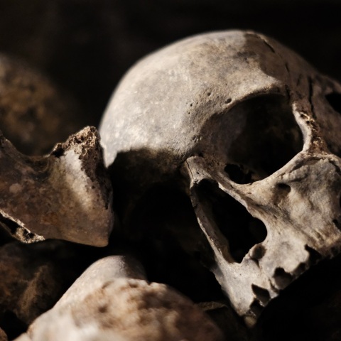 Κίνα: Ανακαλύφθηκε αρχαίο κρανίο από άγνωστο ανθρώπινο είδος - Δε μοιάζει με κανένα άλλο ανθρωποειδές που έχει βρεθεί στο παρελθόν.