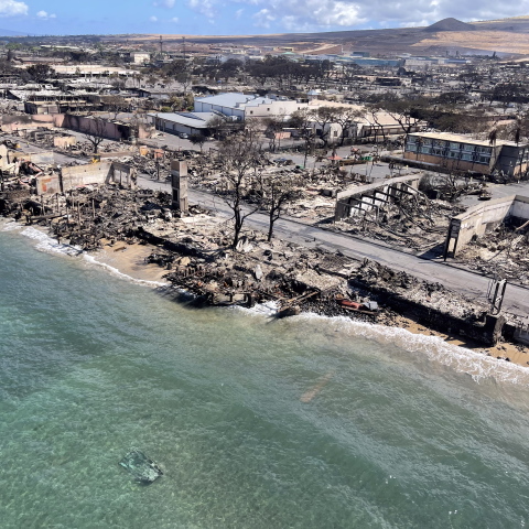 Κατεστραμμένο τοπίο από τις φωτιές στη Χαβάη