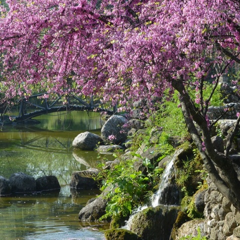 Νάουσα: Διαγωνισμός για την αναβάθμιση και ανάδειξη του ιστορικού πάρκου της περιοχής, ύψους 1,6 εκατ. ευρώ - Οι αρχιτεκτονικές παρεμβάσεις που σχεδιάζονται.