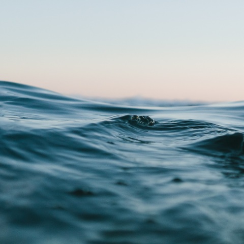 Χωρίς τις αισθήσεις του ανασύρθηκε από τη θαλάσσια περιοχή του Διάπορου Χαλκιδικής 68χρονος © Unsplash