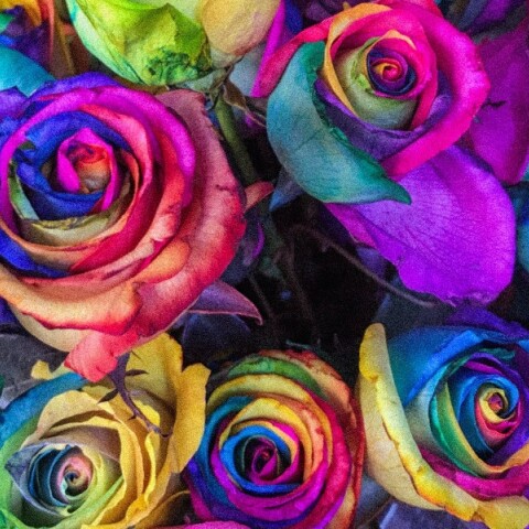 Εορτολόγιο: Σήμερα 20 Αυγούστου γιορτάζει…