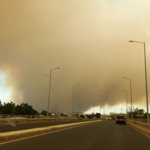 Φωτιά στην Αλεξανδρούπολη