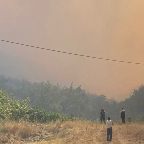 Φωτιά στην Αλεξανδρούπολη