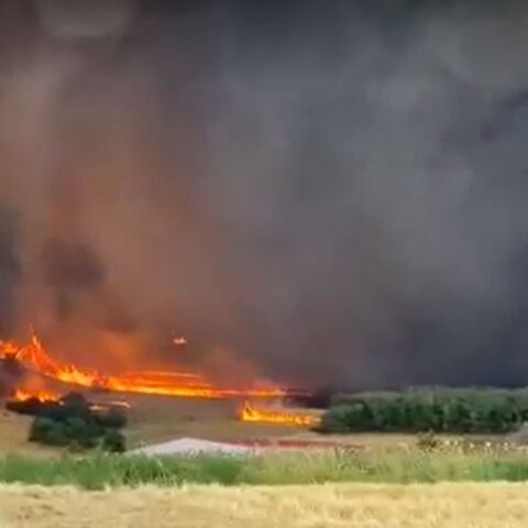 Φωτιά στην Αλεξανδρούπολη