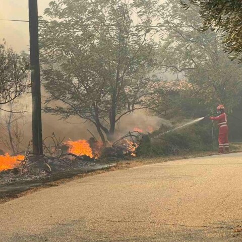 Φωτιά στην Αλεξανδρούπολη