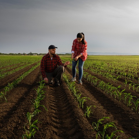 ΕΛΓΟ-ΔΗΜΗΤΡΑ: Από σήμερα και έως τις 15 Σεπτεμβρίου οι αιτήσεις - Θα λειτουργήσουν σε έξι περιφερειακές ενότητες - Ποιες ειδικότητες θα προσφέρουν.