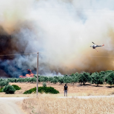 Φωτιά στην Εύβοια: Μήνυμα του 112 για εκκένωση των περιοχών Νέα Αρτάκη και Βατώντα - Μεγάλο το πύρινο μέτωπο από τη φωτιά που ξέσπασε στα Ψαχνά. 