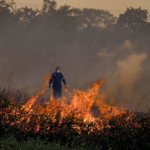 Φωτιά στη Ροδόπη: Μήνυμα του 112 για εκκένωση των περιοχών Πολύανθο, Σώστη και Ληνό - Προηγήθηκε μήνυμα για εκκένωση των περιοχών σε Μέγα Πιστό και Μίσχο.