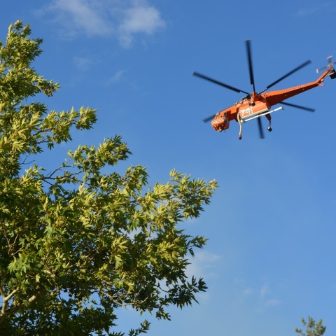 Πυρκαγιά στον Πρόδρομο Βοιωτίας: Έχασε τη ζωή του ηλικιωμένος βοσκός - Μεγάλο το μέτωπο, ιδιαίτερα ισχυροί οι άνεμοι, δηλώνει ο δήμαρχος Θήβας.