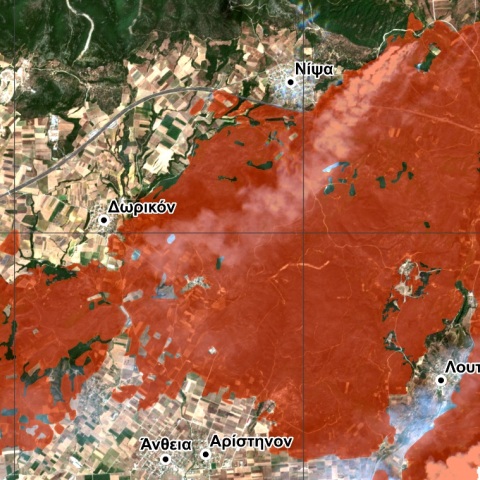 Αλεξανδρούπολη: Η πρώτη χαρτογράφηση των καμένων εκτάσεων από το Εθνικό Παρατηρητήριο Δασικών Πυρκαγιών- Μέχρι χθες κάηκαν περισσότερα από 55.000 στρέμματα.