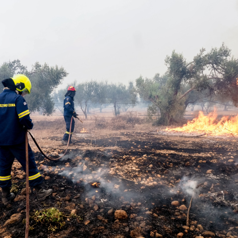 Φωτιά στα Ψαχνά Ευβοίας