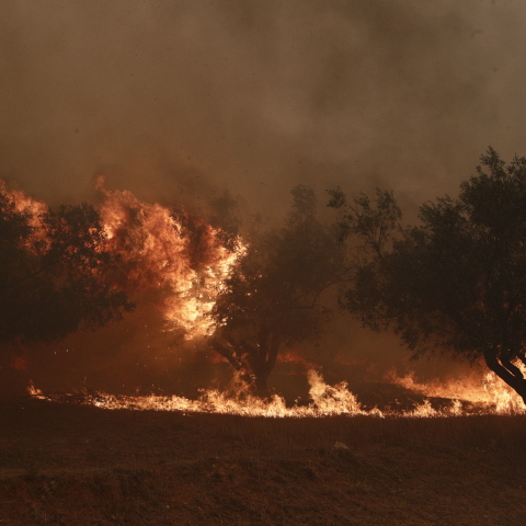 Φωτιά στον Ασπρόπυργο