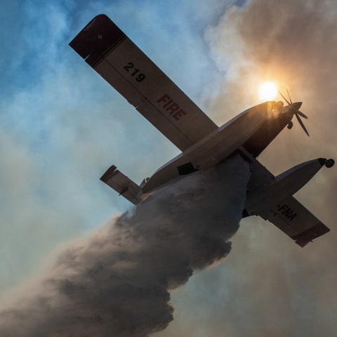 Αρκάς: Μήνυμα συμπαράστασης στις πυρόπληκτες περιοχές με συγκλονιστικό σκίτσο για τις φωτιές που πλήττουν τη χώρα - Η ανάρτησή του στα social media.