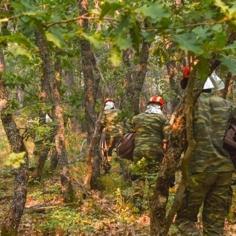 Φωτιά στον Έβρο: Εντοπίστηκαν 18 απανθρακωμένοι μετανάστες - Ήταν μέλη καραβανιού που είχε φτάσει στη χώρα μας