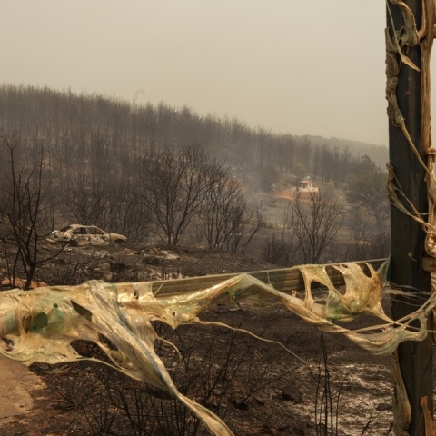 Φωτιά στον Έβρο: Ανασύρθηκαν οι σωροί επιπλέον οκτώ ατόμων στην περιοχή του Άβαντα - Στους 26 ανέρχονται πλέον οι νεκροί - Πού στρέφονται οι έρευνες.
