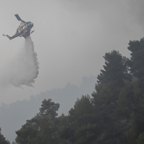 Χαλκιδική: Πυρκαγιά σε αγροτοδασική έκταση στον Πολύγυρο - Επιχειρούν επίγειες και εναέριες δυνάμεις της πυροσβεστικής - Δεν απειλεί κατοικημένες περιοχές.