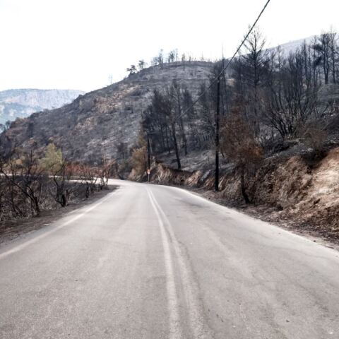 Φωτιά στη Φυλή