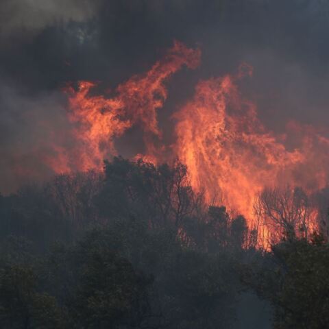 Φωτιά στην Αλεξανδρούπολη