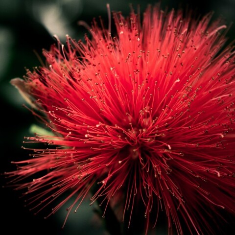 Εορτολόγιο: Σήμερα 26 Αυγούστου γιορτάζει…