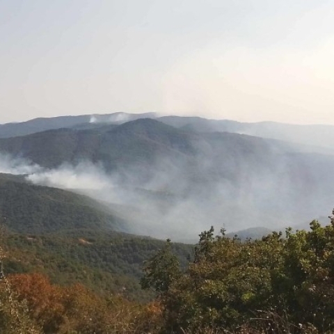 Φωτιά στον Έβρο