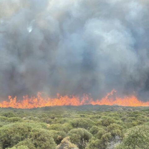 Φωτιά καίει περιοχή στην Άνδρο - Δύο τα ενεργά μέτωπα