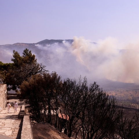 Καπνός από μέτωπο στη Βοιωτία