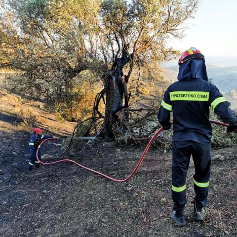 Πυροσβέστες επιχειρούν για την κατάσβεση φωτιάς στην Κάρυστο