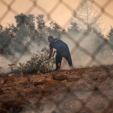 Άτομο προσπαθεί να συνδράμει στην κατάσβεση φωτιάς με κλαδί