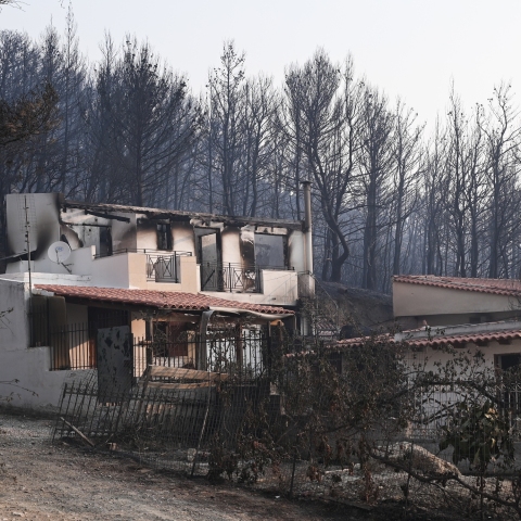 Καμένες εκτάσεις, δέντρα και κτίρια από το πέρασμα της φωτιάς στην Πάρνηθα