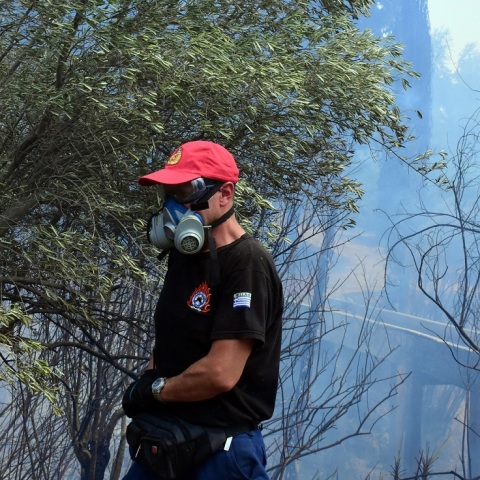 Φωτιά τώρα στην Παλλήνη - Κινητοποίηση της πυροσβεστικής - Διάσπαρτες οικίες και καλλιεργήσιμες εκτάσεις στην περιοχή - άνεμοι στα 3-4 μποφόρ.