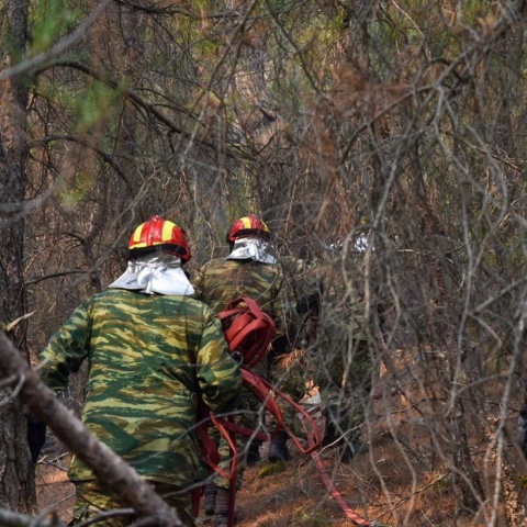 Άτομα που επιχειρούν για την κατάσβεση φωτιάς με τις μάνικες ανά χείρας
