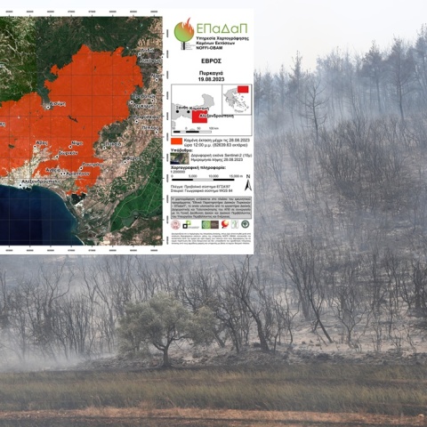 Καμένα δέντρα σε έκταση και αριστερά στη φωτογραφία η απεικόνιση του ΑΠΘ για τις καμένες εκτάσεις από τις φωτιές στον Έβρο