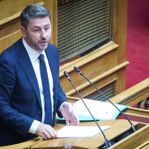 Ο Νίκος Ανδρουλάκης