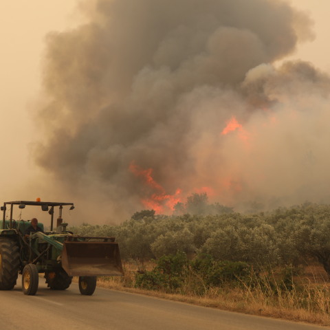 Φωτιά στον Έβρο