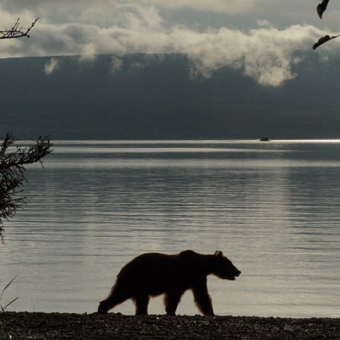 Κατμάι: Το παρθένο βασίλειο της «παχιάς αρκούδας»  