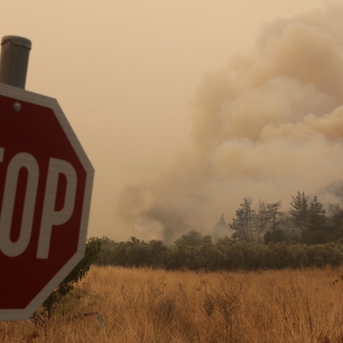 Φωτιά στον Έβρο: Προειδοποιητικό μήνυμα του 112 στους κατοίκους της Λευκίμμης: «Παραμείνετε σε ετοιμότητα» - Συνεχίζεται η μάχη των δυνάμεων της Πυροσβεστικής. 
