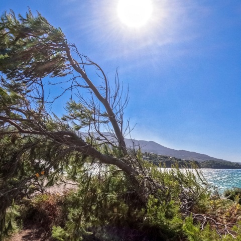 Καιρός: Αίθριος αύριο Κυριακή, με τοπικές νεφώσεις και πιθανότητα βροχών στα βόρεια - Αναλυτική πρόγνωση για όλη την Ελλάδα από την ΕΜΥ και το Meteo.