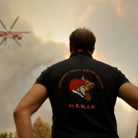 Έβρος: Πάνω από 935.000 στρέμματα χάθηκαν στη φωτιά - Νεότερα δορυφορικά δεδομένα από το meteo του Εθνικού Αστεροσκοπείου.