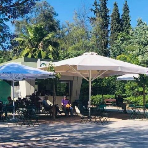 Γαρδένια, Πεδίον του Άρεως