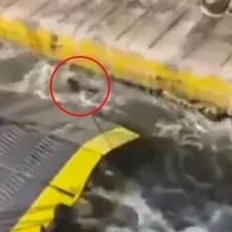 Ο Αντώνης Καρυώτης έχασε τη ζωή του γιατί τον έσπρωξαν στη θάλασσα