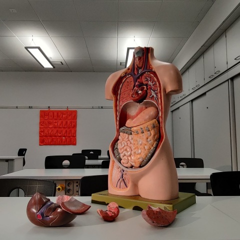 Χρήστος Χριστοδούλου: Δεν υπάρχει πρόληψη για τον καρκίνο του παγκρέατος 