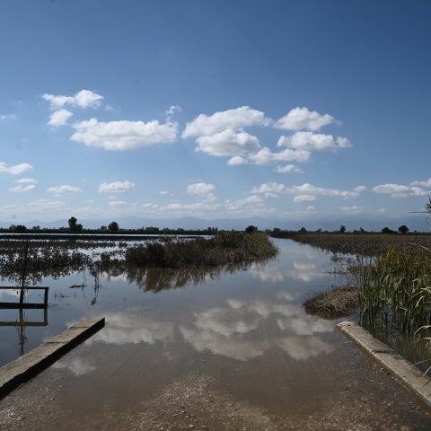 Ο πλημμυρισμένος θεσσαλικός κάμπος