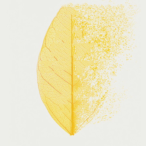 Γκαμπόρ Ματέ: Το κρυφό στρες και πώς μας επηρεάζει