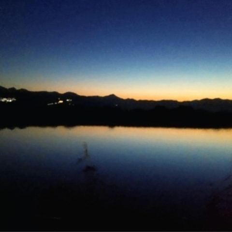 Η Νυκτωδία του Βάλτου