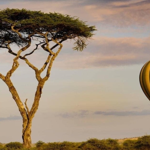 Μάρω Κουρή: Φωτογραφικό εργαστήρι - ταξίδι στην Τανζανία