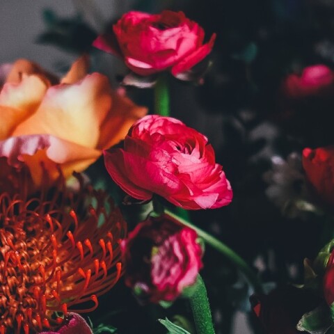 Εορτολόγιο: Σήμερα, 18 Σεπτεμβρίου, γιορτάζει… 